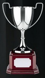 Custom 8" Swatkins Endurance Nickel Plated Cup Award