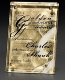 Custom Small Fascinating Gold Award