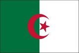 Custom Algeria/ United Nation Nylon Outdoor Flags of the World (3'x5')