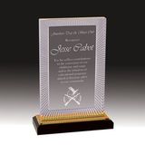 Custom Gold Carved Rectangle Impress Acrylic Award (8 3/4