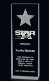 Custom Clear Star Wedge Acrylic Award (7