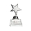 Custom Silver Star Trophy Award on Crystal Base
