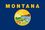 Custom Endura Poly Mounted Montana State Flag (12"x18"), Price/piece