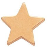 Custom Gold Flat Polished Star Pin (1/2