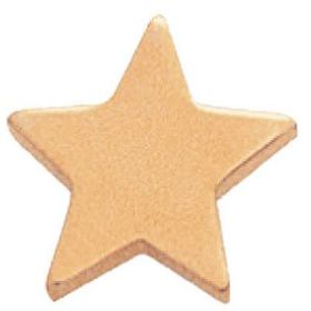 Custom Gold Flat Polished Star Pin (1/2")