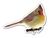 Custom 3.1-5 Sq. In. (B) Magnet - Northern Cardinal Bird #2, 30mm Thick
