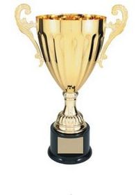 Custom Gold Plated Aluminum Cup Trophy w/ Plastic Base (13 1/4")