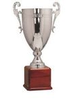 Custom Silver Plated Aluminum Trophy w/ Wood Base (24.5