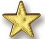 Custom Gold Star Stock Design Plastic Lapel Pin