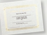 Custom Foil Embossed Stock Certificate (Recognition), 8 1/2