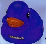 Custom Violet Popular Colorful Duck