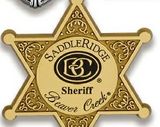 Custom Junior Deputy Sheriff Officer Star Stock Badge w/ 6 Pointed Star