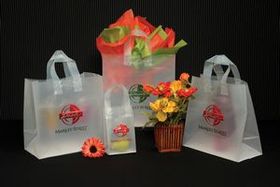 Custom Frosted Clear Poly Flexi-Loop Bag/ 4 MIL (5"x3"x13")