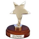 Custom Star Award on Wood Base