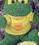 Custom Ruddly Family Stuffed Green Frog, Price/piece