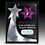 Custom The Rising Star Plaque - 4 Color Process, 8" W x 10" H x 3/4" Thick, Price/piece