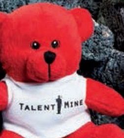 Custom 5" Q-Tee Brites Stuffed Red Bear