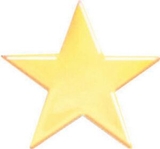 Custom Service Lapel Pin Star