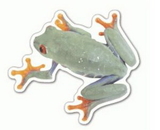 Custom Frog #2 Magnet (7.1-9 Sq. In. & 30mm Thick)