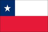 Custom Chile Endura Poly Outdoor UN O.A.S Flags of the World (3'x5')