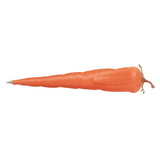 Custom Veggie Pen: Carrot