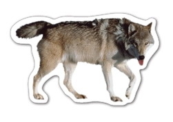 Custom Wolf Magnet - 5.1-7 Sq. In. (30MM Thick)