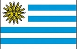 Custom Nylon Uruguay Indoor/ Outdoor Flag (5'x8')