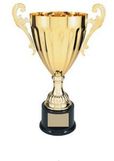 Custom Gold Plated Aluminum Cup Trophy w/ Plastic Base (9 3/4