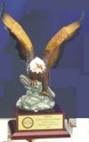 Custom Ceramic Hand Painted Eagle Award (16