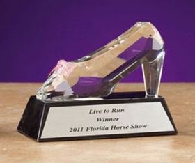 Custom Crystal Shoe Award (5.5")