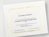 Custom Foil Embossed Stock Certificate (Appreciation), 8 1/2