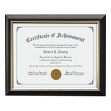 Custom Trent Certificate Frame - Black/Gold 81/4