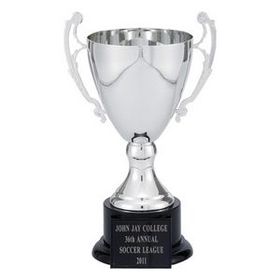Custom Silver Metal Cup Trophy w/ Black Base (13")