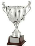 Custom Trophy Cup (18 1/4