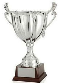 Custom Trophy Cup (18 1/4")