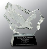 Custom Crystal Carved Eagle Award, 7