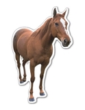 Custom Horse Magnet (7.1-9 Sq. In. & 30mm Thick)