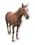 Custom Horse Magnet (7.1-9 Sq. In. & 30mm Thick), Price/piece