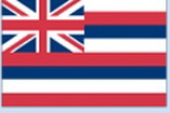 Custom Nylon Hawaii State Indoor/ Outdoor Flag (4'x6')