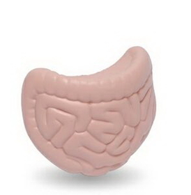 Intestines Stress Reliever Squeeze Toy