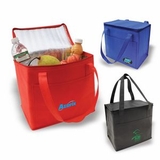 Custom Cooler Bag, Non-Woven Cooler Bag, Insulated Cooler, 11