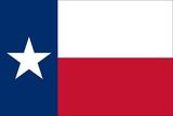 Custom Plastic Mounted Texas Flag (4