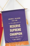 Custom Foil Stamped Banner (6