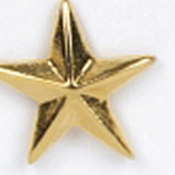 Custom Gold Star Stock Cast Pin