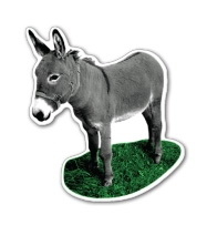 Custom 3.1-5 Sq. In. (B) Magnet - Donkey Standing (3.38 Sq. In.), 30mm Thick