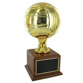 Custom Gold Volleyball Trophy (16")