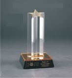 Custom Acrylic Star Award (7