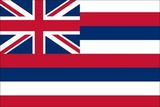 Custom Endura Poly Mounted Hawaii State Flag (12