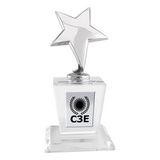 Custom Silver Star on Crystal Base Award