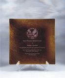 Custom Gold Leaf Award Plate (8